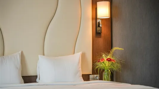 Apartments in Groß-Gerau - photo 5