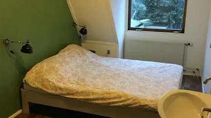 Room for rent in Utrechtse Heuvelrug, Province of Utrecht