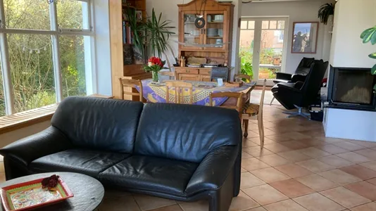 Houses in Bonn - photo 4