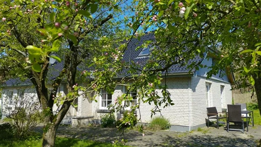 Houses in Schleswig-Flensburg - photo 4