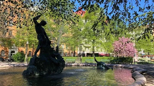 Apartments in Södermalm - photo 9