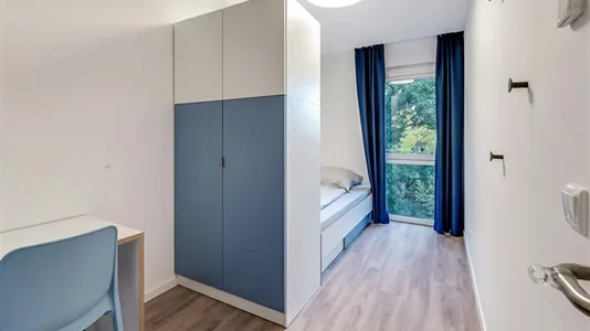 Rooms in Berlin Treptow-Köpenick - photo 4