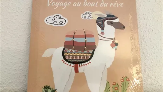 Rooms in Madrid Salamanca - photo 10