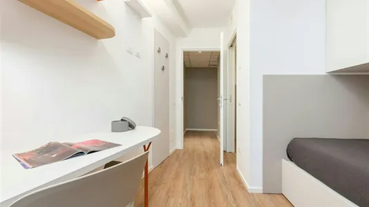 Rooms in Trento - photo 4