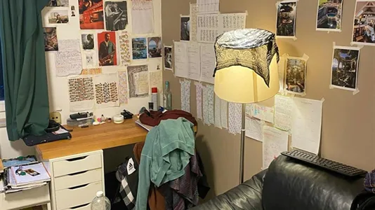 Rooms in Lanaken - photo 5