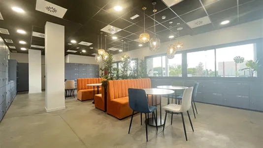 Apartments in Salamanca - photo 8