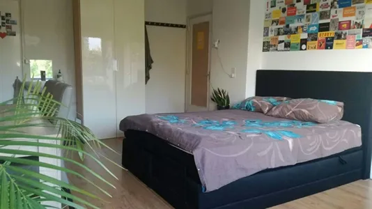 Rooms in Rotterdam Kralingen-Crooswijk - photo 5