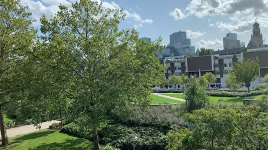 Rooms in Rotterdam Centrum - photo 8