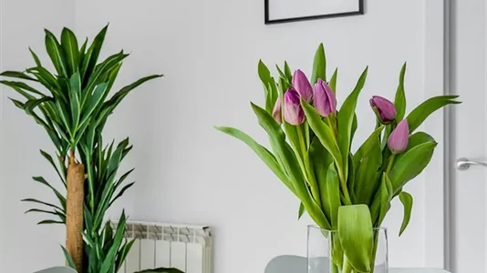 Rooms in Getafe - photo 8