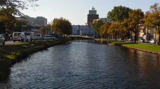 Rooms in Leiden - photo 7