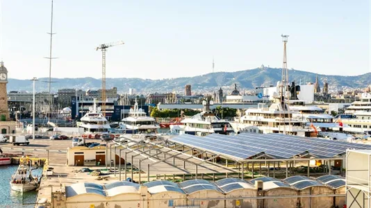 Apartments in Barcelona Ciutat Vella - photo 4