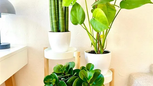 Apartments in Location is not specified - photo 3