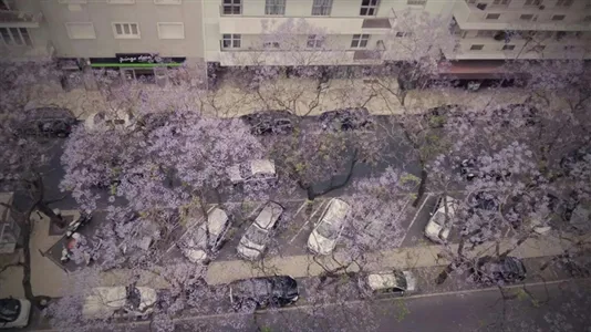 Apartments in Location is not specified - photo 10