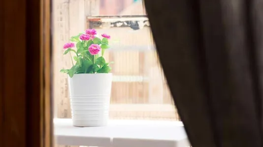 Rooms in Milano Zona 4 - Vittoria, Forlanini - photo 9