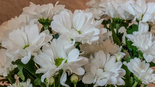 Apartments in Barcelona Eixample - photo 5