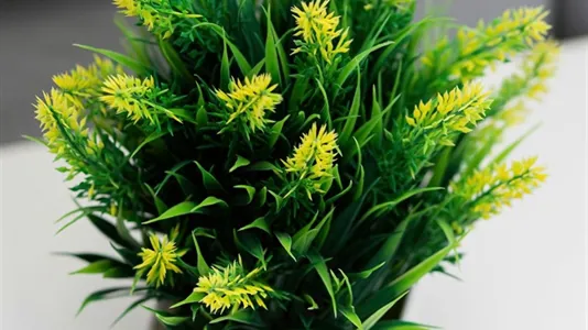 Apartments in Location is not specified - photo 7