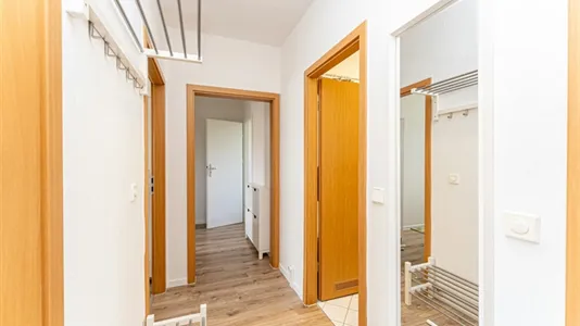 Rooms in Potsdam - photo 4