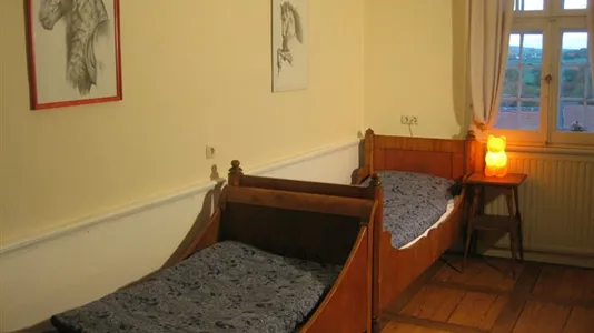 Houses in Marburg-Biedenkopf - photo 10