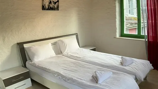 Apartments in Horgen - photo 6