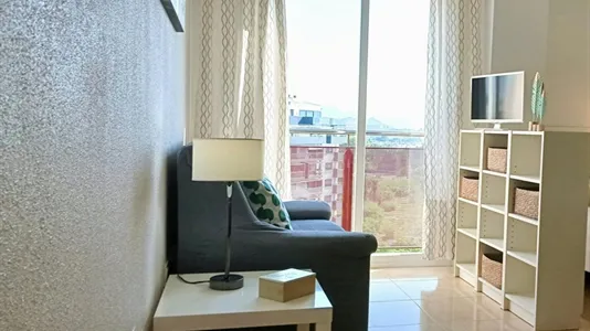 Apartments in Murcia - photo 4