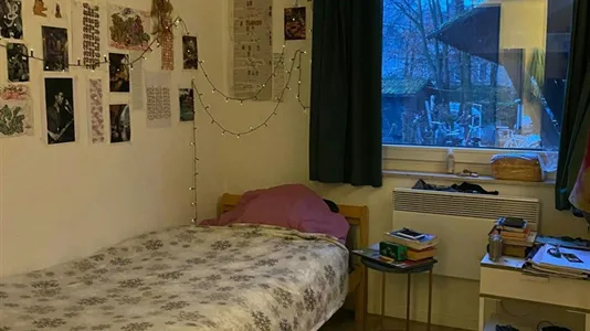 Rooms in Lanaken - photo 7