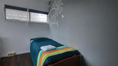 Room for rent in Rotterdam