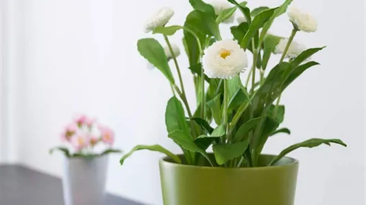 Rooms in Milano Zona 6 - Barona, Lorenteggio - photo 8