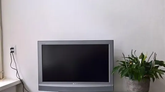 Houses in Leiden - photo 2