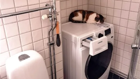 Apartments in Kungsholmen - photo 10