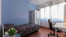 Room for rent, Milano Zona 3 - Porta Venezia, Città Studi, Lambrate, Milan, Via Padova