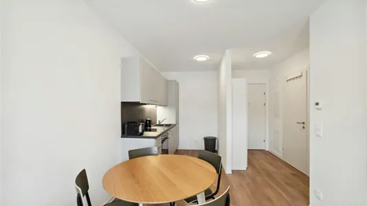 Apartments in Graz - photo 9