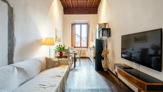 Apartments in Florence - photo 7