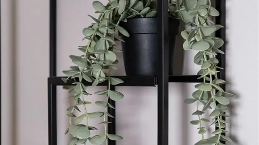 Apartments in Location is not specified - photo 9