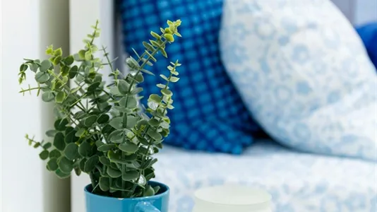 Rooms in Turin - photo 7