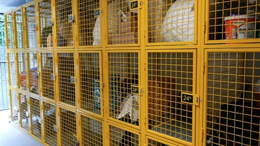 Apartments in Delft - photo 7