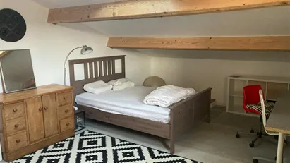 Room for rent in Montpellier, Occitanie