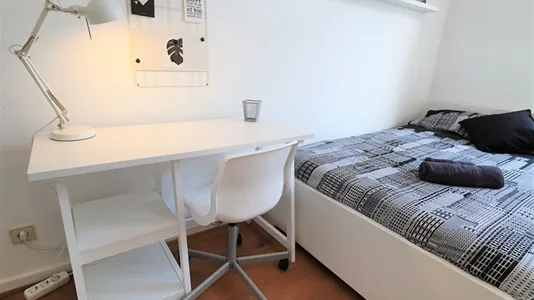 Rooms in Bonn - photo 5