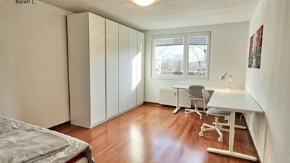 Room for rent in Besnica, Osrednjeslovenska