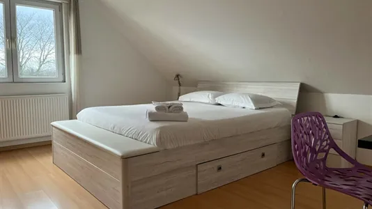 Houses in Strasbourg - photo 8