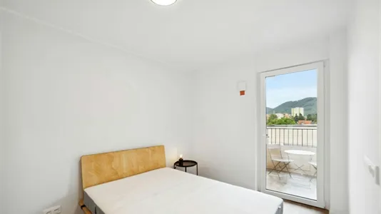 Apartments in Graz - photo 1