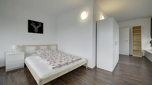 Rooms in Stuttgart Bad Cannstatt - photo 2