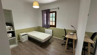 Room for rent in Cerdanyola del Vallès, Cataluña