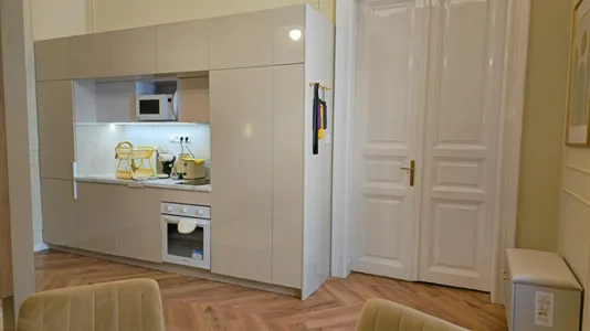 Apartments in Budapest Józsefváros - photo 10