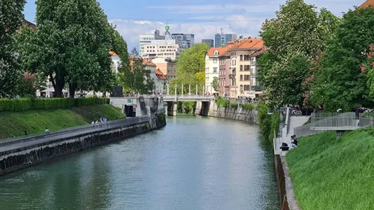 Apartments in Besnica - photo 8