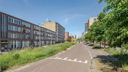 Apartment for rent in Rotterdam Apartment for rent in Rotterdam