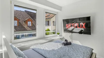 Apartment for rent in Winterthur, Zürich (Kantone)