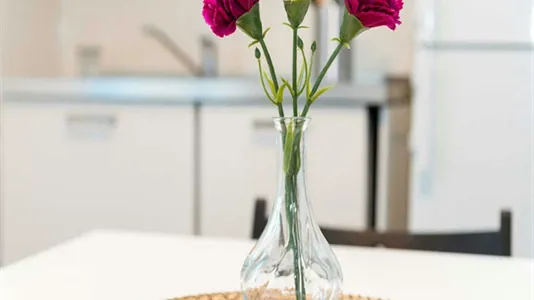 Rooms in Buccinasco - photo 8