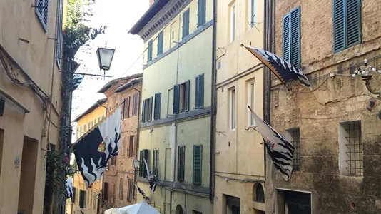 Apartments in Siena - photo 6