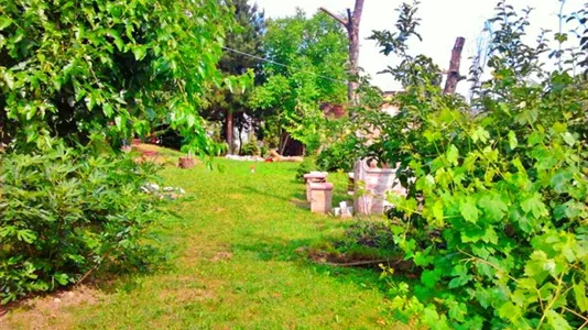 Houses in Miskolci - photo 6