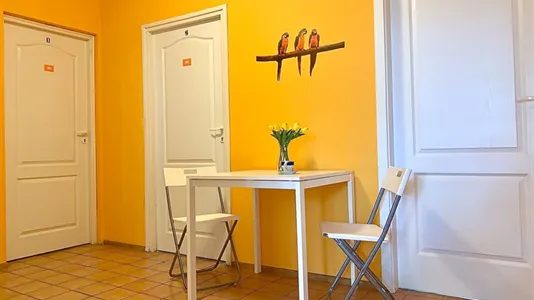 Rooms in Wrocław - photo 4